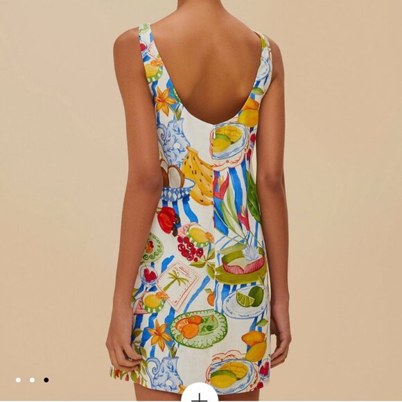 NEW W/ TAG! FARM RIO Off-white Fresh Euroflax Premium Linen Mini Dress - XS - Picture 3 of 6